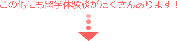 この他にも留学体験談がたくさんあります！